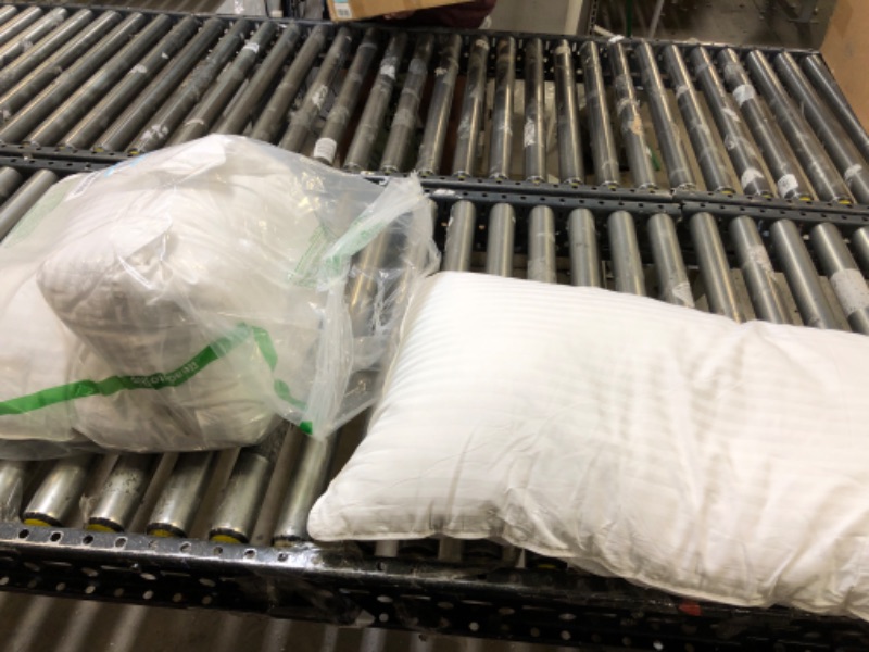 Photo 1 of 2pk of white pillows 