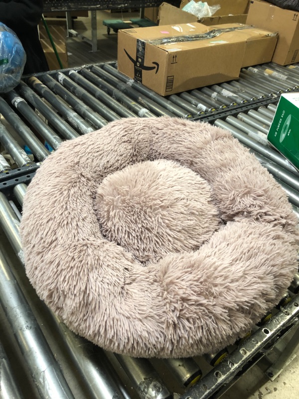 Photo 1 of Brown fuzzy pet bed for small dogs/cats