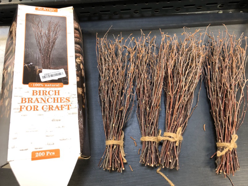 Photo 2 of 100% Natural Birch Branches for Craft