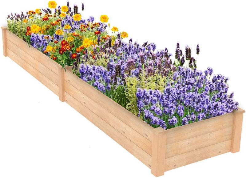 Photo 1 of ECOgardener Raised Bed Planter, 2’x8’. Outdoor Wooden Raised Garden Bed Kit for Vegetables, Fruit, Herbs, Flowers and Plants.
