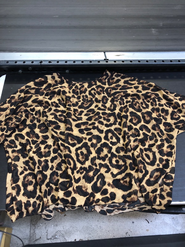 Photo 1 of Cheetah Print Mesh Cover Up One Size 