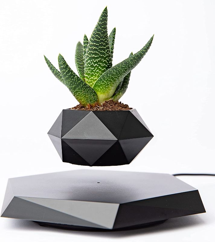 Photo 1 of BandD Floating Plant Pot - Levitating Plant Pot for Succulents, air Bonsai & air Plants. Floating Planter for Home, Office & Desk Levitating Decor. Magnetic Floating Levitating Display. (Black)
