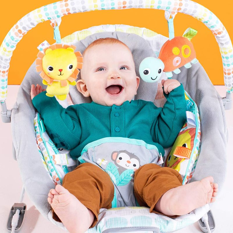 Photo 1 of Bright Starts Whimsical Wild Comfy Baby Bouncer Seat with Soothing Vibration and Music