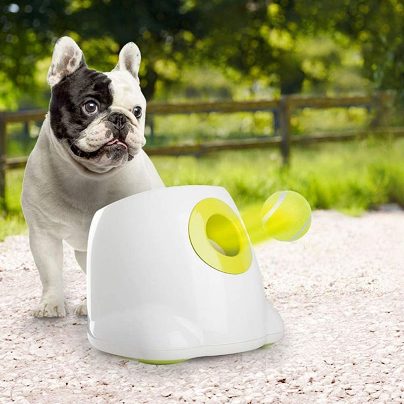 Photo 1 of **SEE NOTES** All for Paws Interactive Automatic Ball Launcher for Dogs