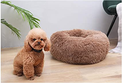 Photo 1 of  Modern Soft Plush Round Pet Bed for Cats or Small Dogs, Mini Medium Sized Dog Cat Bed Self Warming Autumn Winter Indoor Snooze Sleeping Cozy Kitty Teddy Kennel (24'' D x 8'' H, Coffee)