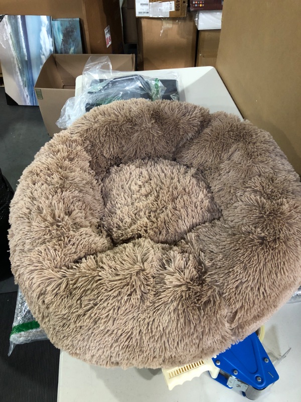 Photo 2 of  Modern Soft Plush Round Pet Bed for Cats or Small Dogs, Mini Medium Sized Dog Cat Bed Self Warming Autumn Winter Indoor Snooze Sleeping Cozy Kitty Teddy Kennel (24'' D x 8'' H, Coffee)