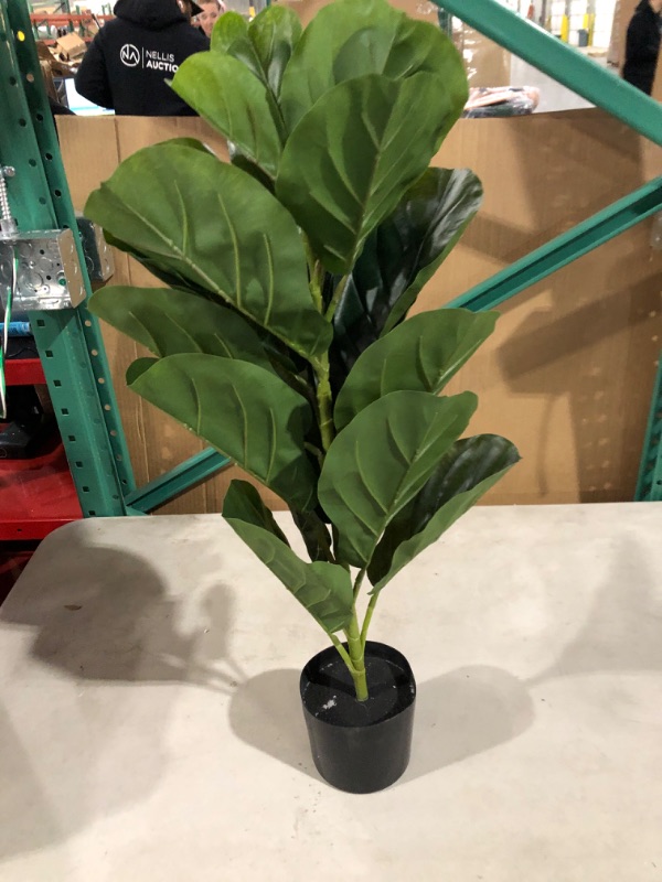 Photo 2 of BESAMENATURE 30" Little Artificial Fiddle Leaf Fig Tree.