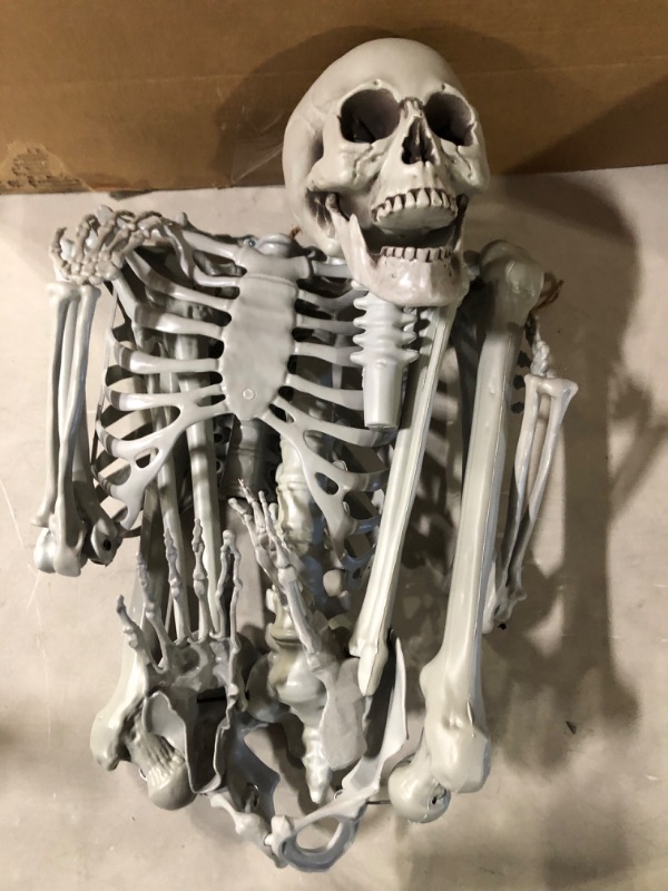 Photo 2 of DECORLIFE 36" Skeleton Halloween Decorations, 3FT Posable Halloween Skeleton Decor for Front Lawn or Haunted House, Party Centerpiece, Trunk or Treat, Lifelike Skeleton Model