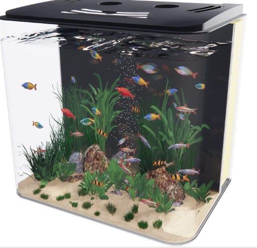 Photo 1 of 1.2 Gallon Aquarium, Betta Fish Tank Starter Kit with LED and Water Filter Pump