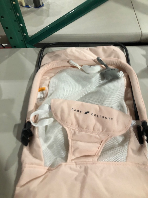 Photo 2 of Baby Delight Alpine Deluxe Portable Bouncer | Infant | 0 – 6 Months | Peony Pink