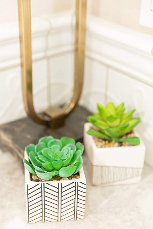 Photo 1 of Flora Bunda Artificial Plants Cactus Set of 2 Artificial Succulent in Tribal Ceramic Planter 3" W x 4.25" H Green in White Tribal, for Home Office Decorations