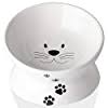 Photo 1 of Ace Elite 10oz Elevated Cat Bowls - 2pc