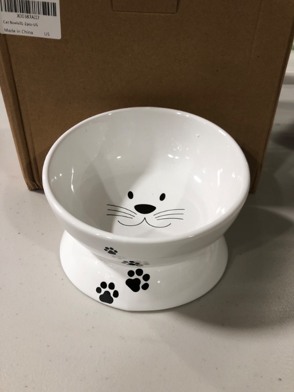 Photo 3 of Ace Elite 10oz Elevated Cat Bowls - 2pc