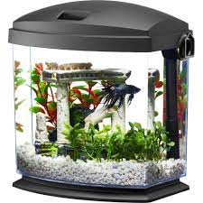 Photo 1 of * UESED * Aqueon LED MiniBow Small Aquarium Fish Tank Kit with SmartClean Technology, Black, 5 Gallon