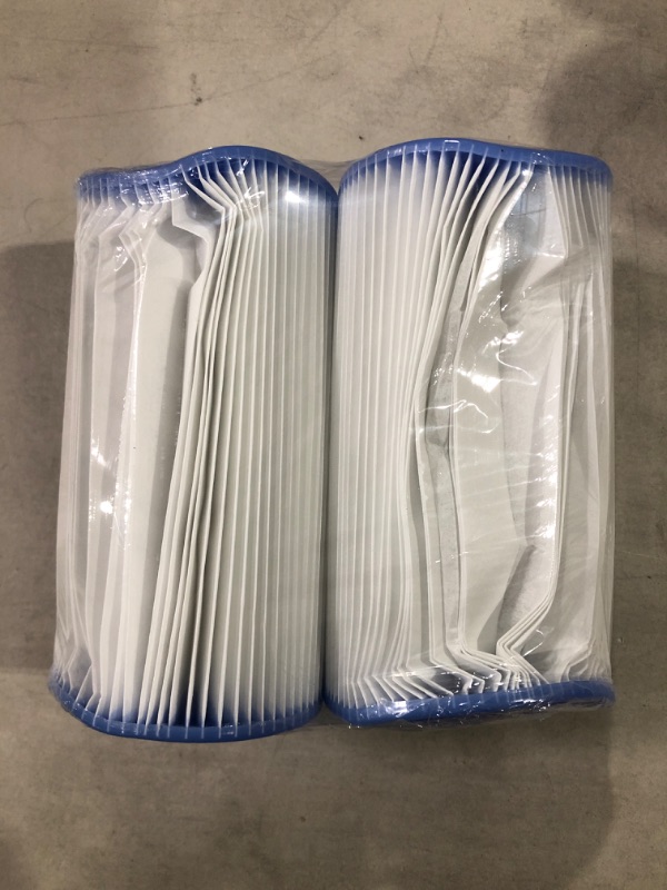 Photo 1 of Intex Recreation 29002E Twin Pack Filter Cartridge 