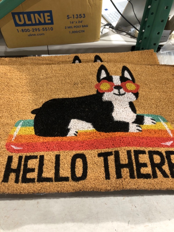 Photo 2 of 16x26 Hello Summer Dog Doormat Natural - Threshold