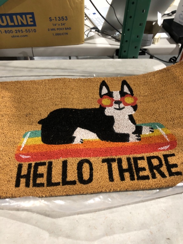 Photo 2 of 16x26 Hello Summer Dog Doormat Natural - Threshold