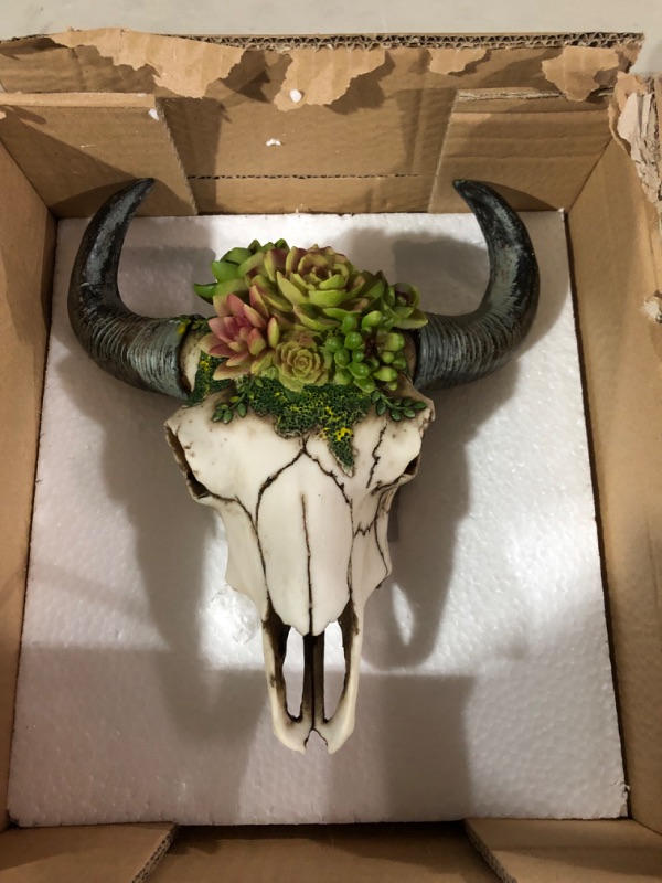 Photo 2 of Cow Skull Wall Decor for Indoor Outdoor Living Spaces, Bedroom and Office. White Skull with Succulents to Add Greenery and a Boho Western Feel. Hanging Resin Wall Art Works in Any Space.