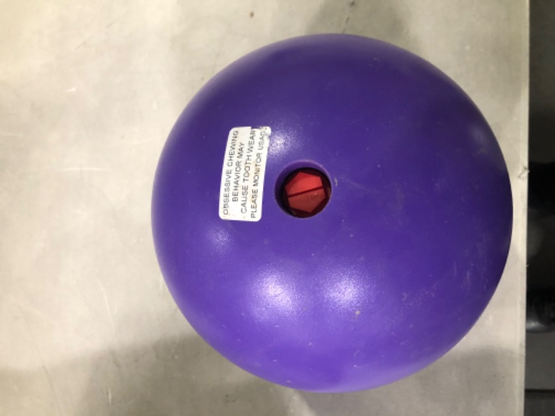Photo 2 of Jolly Pets Push-n-Play Ball Dog Toy 10 Inches/Large Purple