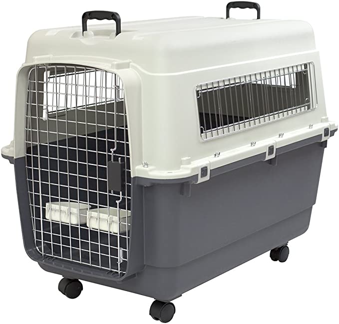 Photo 1 of **USED** SportPet Designs Plastic Kennels Rolling Plastic Airline Approved Wire Door Travel Dog Crate, X-Large, Gray
