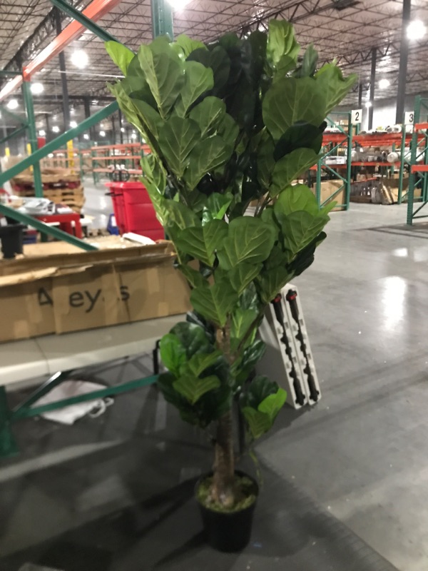 Photo 2 of Aveyas 6ft Artificial Fiddle Leaf Fig Tree in Plastic Nursery Pot, Ficus Lyrata Fake Tropical Plant for Office House Living Room Home Decor ( Indoor / Outdoor ) 6 feet