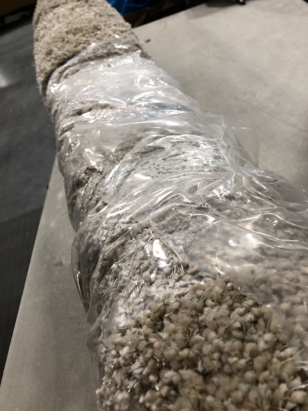 Photo 1 of Eyelash Woven Shag Rug - Project 62 5ft x 6ft x 10in
