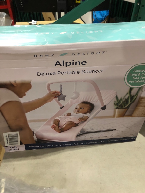 Photo 2 of Baby Delight Alpine Deluxe Portable Bouncer | Infant | 0 – 6 Months | Peony Pink