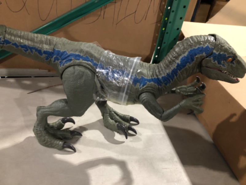 Photo 2 of Jurassic World Super Colossal Velociraptor Blue 18” High & 3.5 Feet Longs 