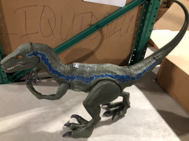 Photo 3 of Jurassic World Super Colossal Velociraptor Blue 18” High & 3.5 Feet Longs 