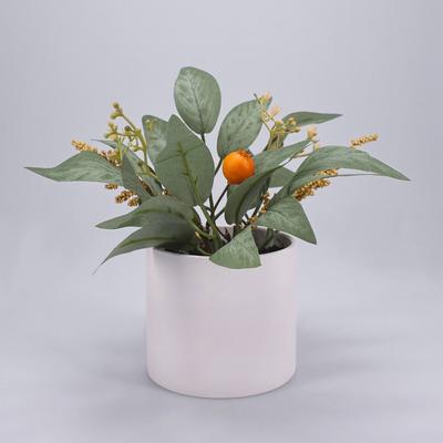 Photo 1 of Mini Artificial Eucalyptus Arrangement - Threshold (2-Pack)