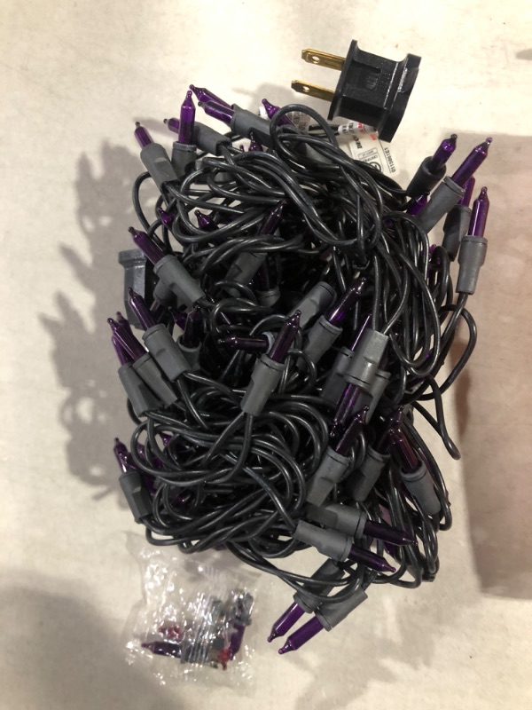 Photo 1 of Hyde and Eek Holiday 100 Lights Purple Mini Lights Indoor Outdoor Black Wire - Lighted Length 6.2 m - Total Length 6.4m