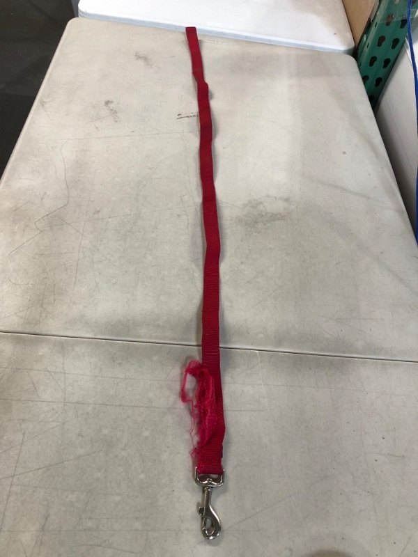 Photo 1 of 46 1/2" Velvet Red Leash