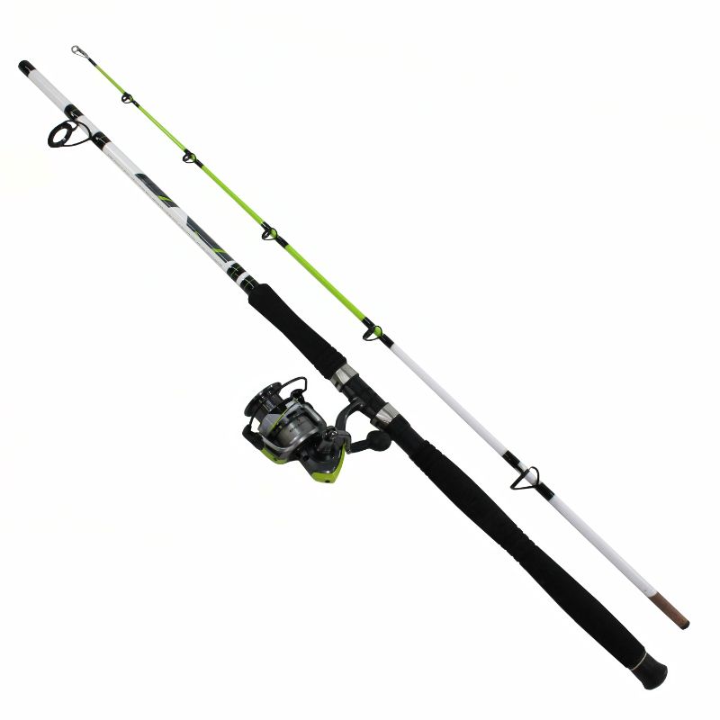 Photo 1 of Big Cat XT Spinning Combo