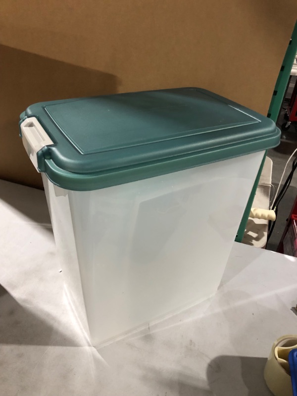 Photo 2 of  Plastic  Container with Hinged Attached Lid, Clear/Green 