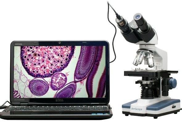 Photo 8 of AmScope 40X-2500X LED Digital Binocular Compound Microscope with 3D Stage +1.3MP USB Camera