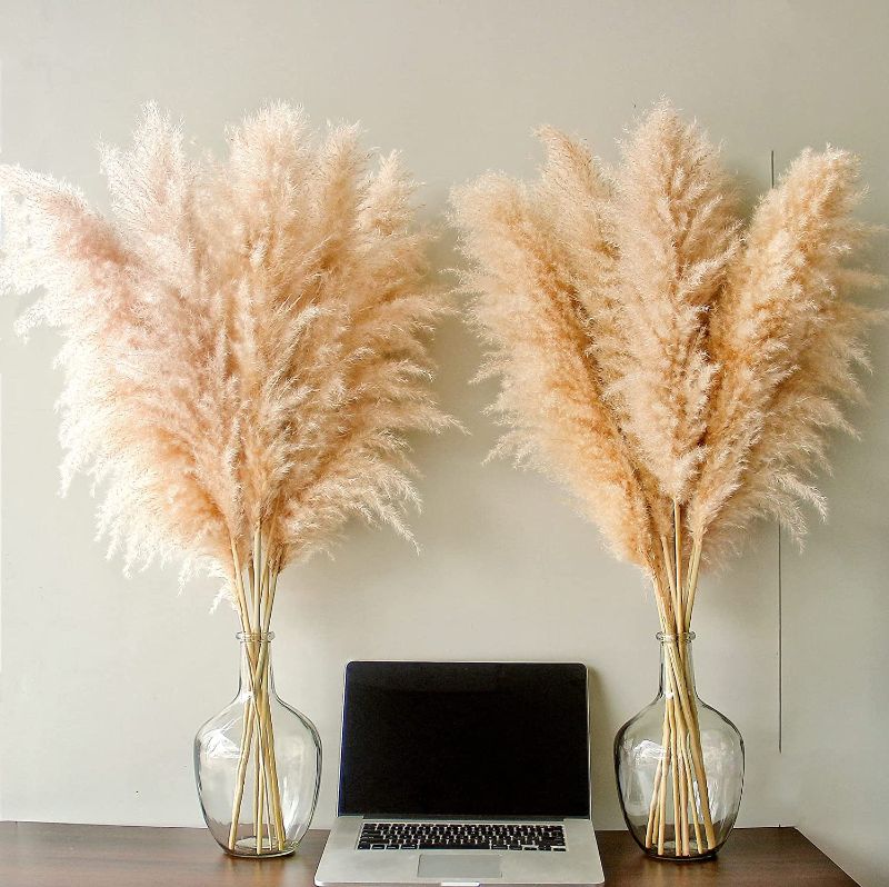 Photo 1 of  40" inch Stems Natural Pampas Grass Decor Tall, pompas Grass, Tall Pampas Grass for Wedding, Party, Farmhouse2 pack