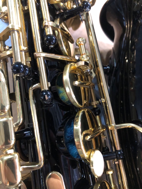 Photo 17 of (PERFECT CONDITION) Glory Black Laquer E Flat Alto Saxophone