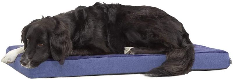 Photo 1 of Barkbox Memory Foam Platform Dog Bed (Large, Navy)