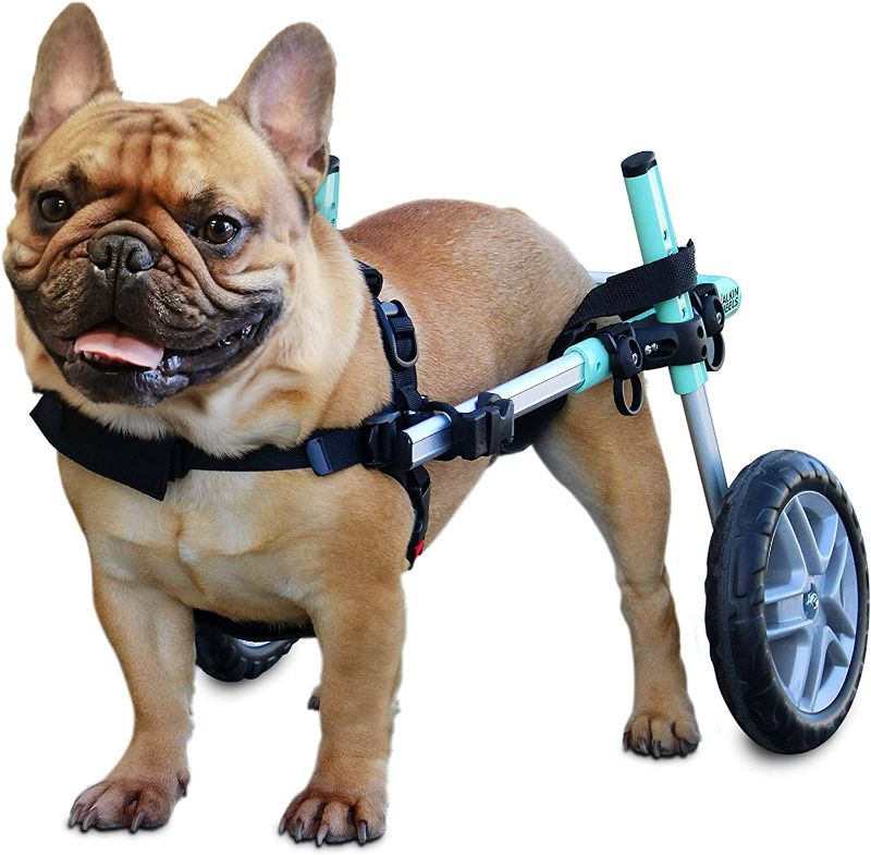 Photo 1 of **PARTS ONLY/UNSURE OF SIZE*** Walkin’ Wheels Custom Dog Wheelchair