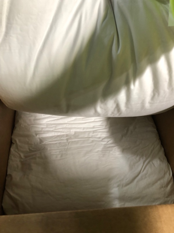 Photo 1 of ACCURATEX Premium Bed Pillows Standard Size (Set of 2)