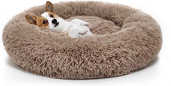 Photo 1 of [USED] Orthopedic Dog Bed Comfortable Donut Pet Bed