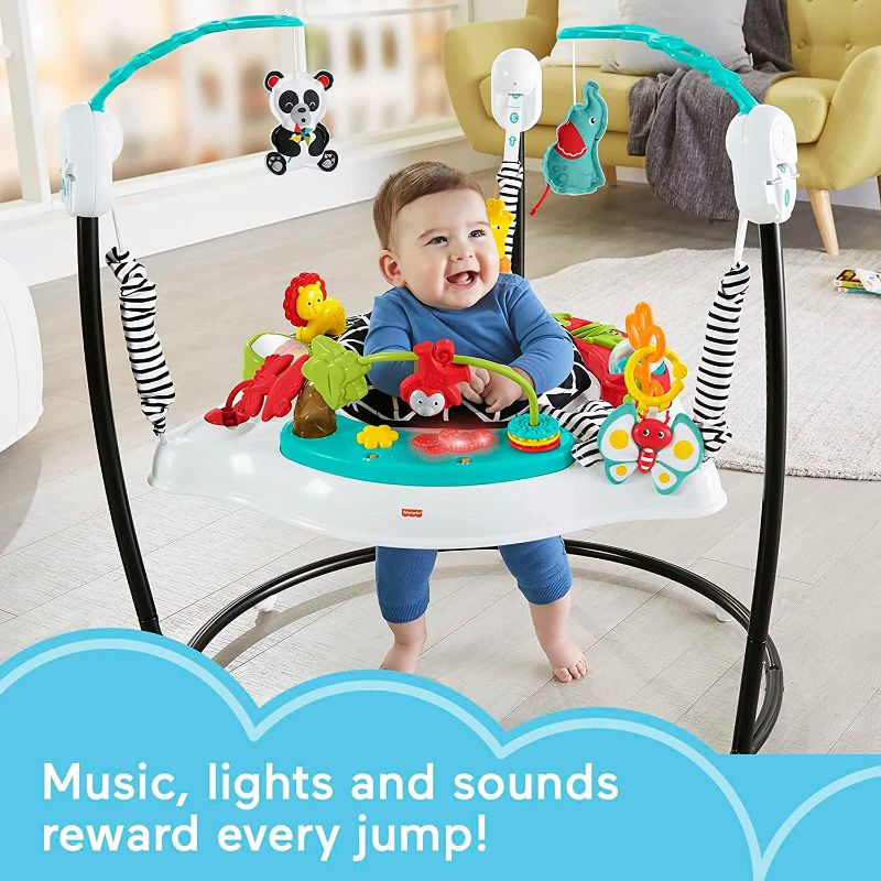 Photo 3 of Fisher-Price Animal Wonders Jumperoo - White