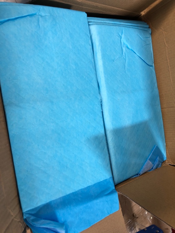 Photo 1 of American Kennel Club Pet Training and Puppy Pads, Regular and Extra Large Fresh Scented 22" x 22" - Pack of 150