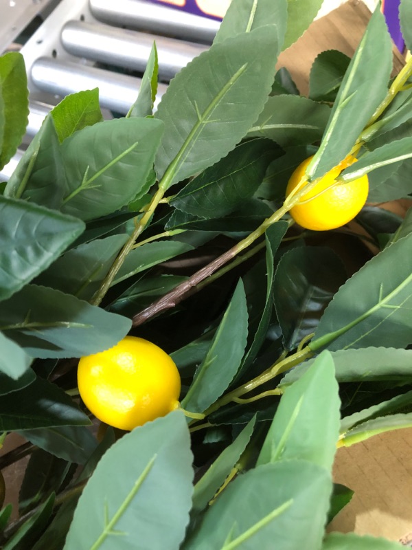 Photo 3 of [SIMILAR] 3FT Artificial Lemon Tree 