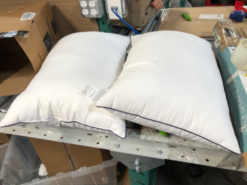 Photo 1 of 14x26 Down Alternative Pillow, Lumbar Pillow Insert 2pk