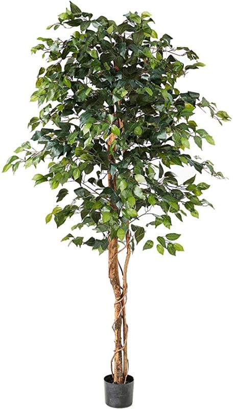 Photo 1 of ***INCOMPLETE*** Nearly Natural 6ft. Ficus Artificial Trees, 72in, GreenNearly Natural 6ft. Ficus Artificial Trees, 72in, Green