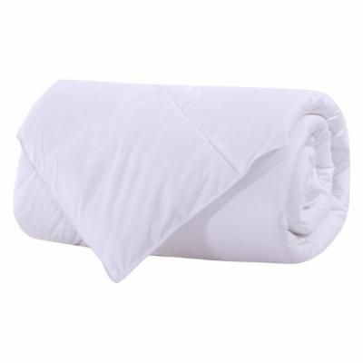 Photo 1 of 100% Cotton 300TC White Bamboo Filled Blanket, Twin/Twin Xl
