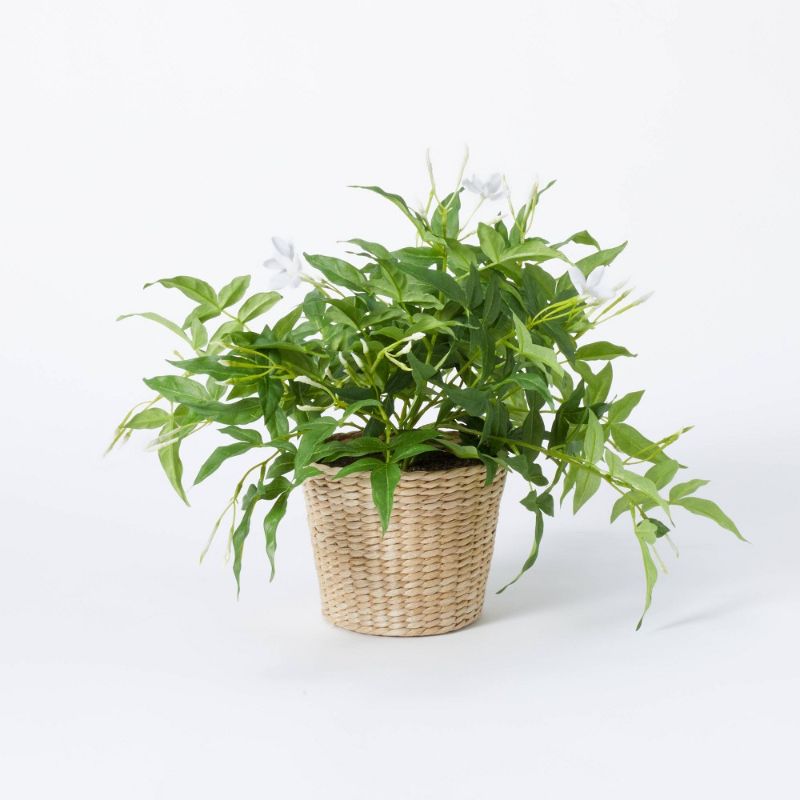 Photo 1 of  2 Pack Jasmine in Basket - Threshold™ Designed with Studio McGee
