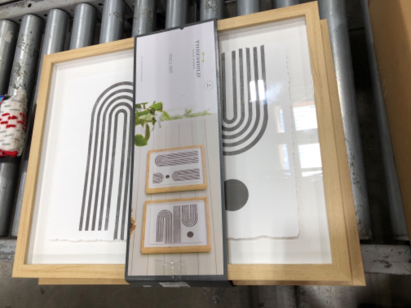 Photo 1 of (Set of 2) 16 x 20 Curve Lines Framed Under Glass Black - Threshold