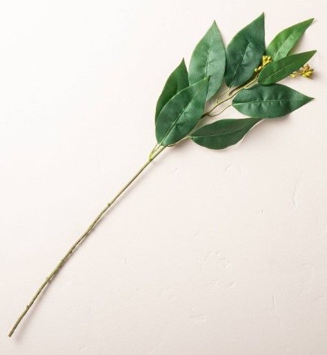 Photo 1 of 22" Faux Long Leaf Eucalyptus Plant Stem - Hearth & Hand™ with Magnolia pack of 6 

